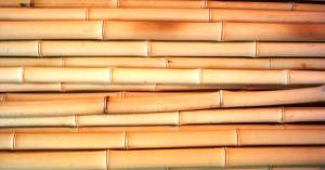 Bamboo poles &amp; bamboo fence