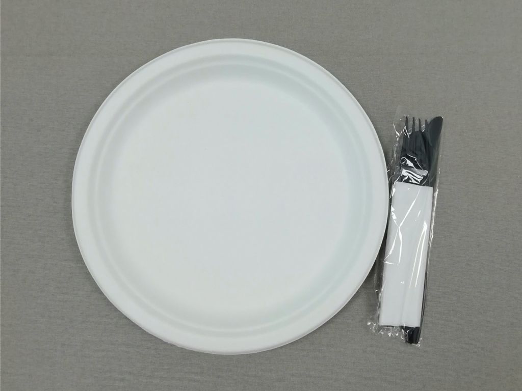 Compostable natural-pulp 10 inch round plate biodegradable bagasse fiber and wheat straw fiber plate