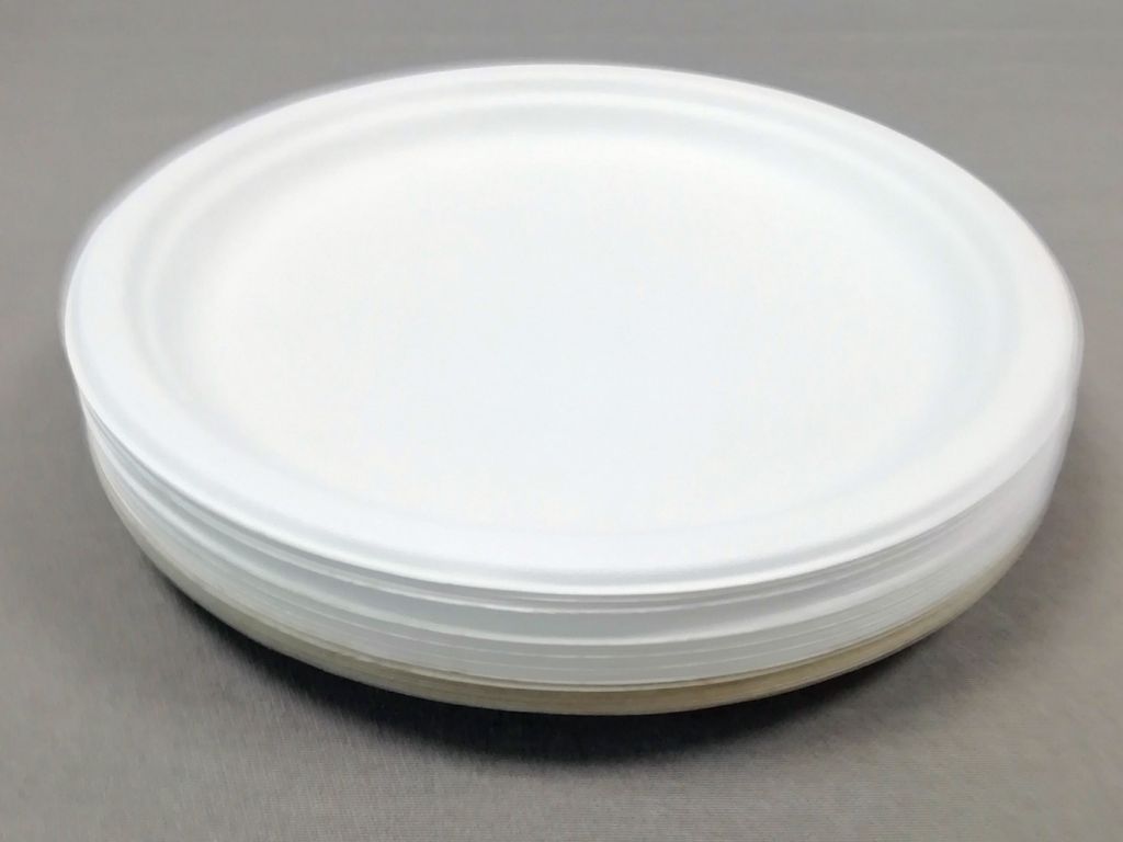 Compostable natural-pulp 10 inch round plate biodegradable bagasse fiber and wheat straw fiber plate