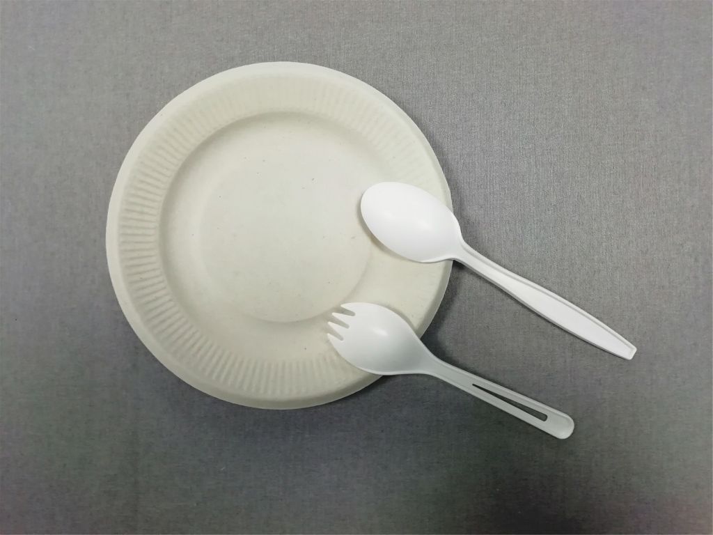 5/6/7/8 inch biodegradable natural-pulp plate with stripe edge Compostable plates without harmful products