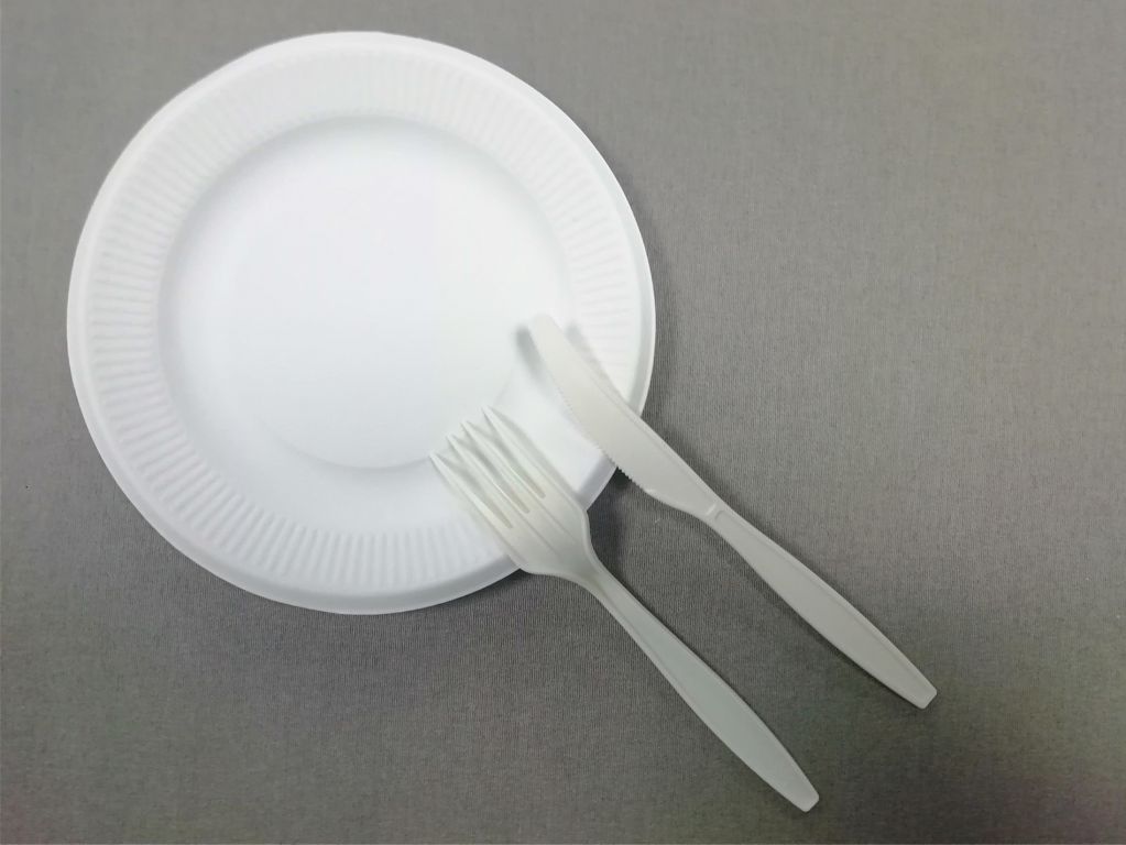 5/6/7/8 inch biodegradable natural-pulp plate with stripe edge Compostable plates without harmful products