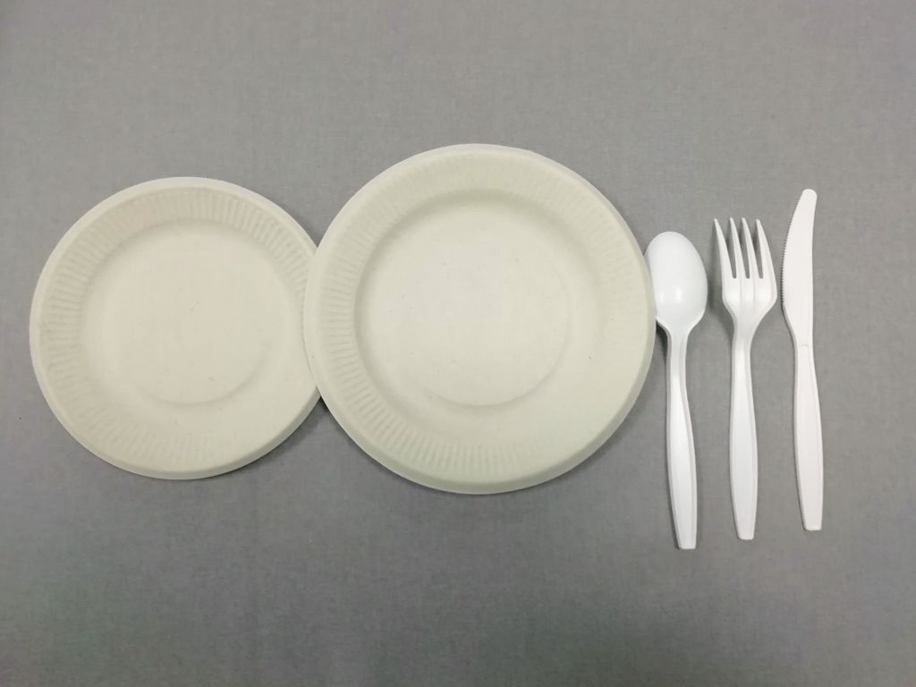 5/6/7/8 inch biodegradable natural-pulp plate with stripe edge Compostable plates without harmful products