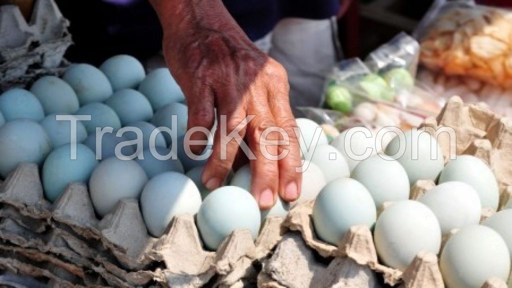 Original Salted Eggs in Brebes City, Indonesia