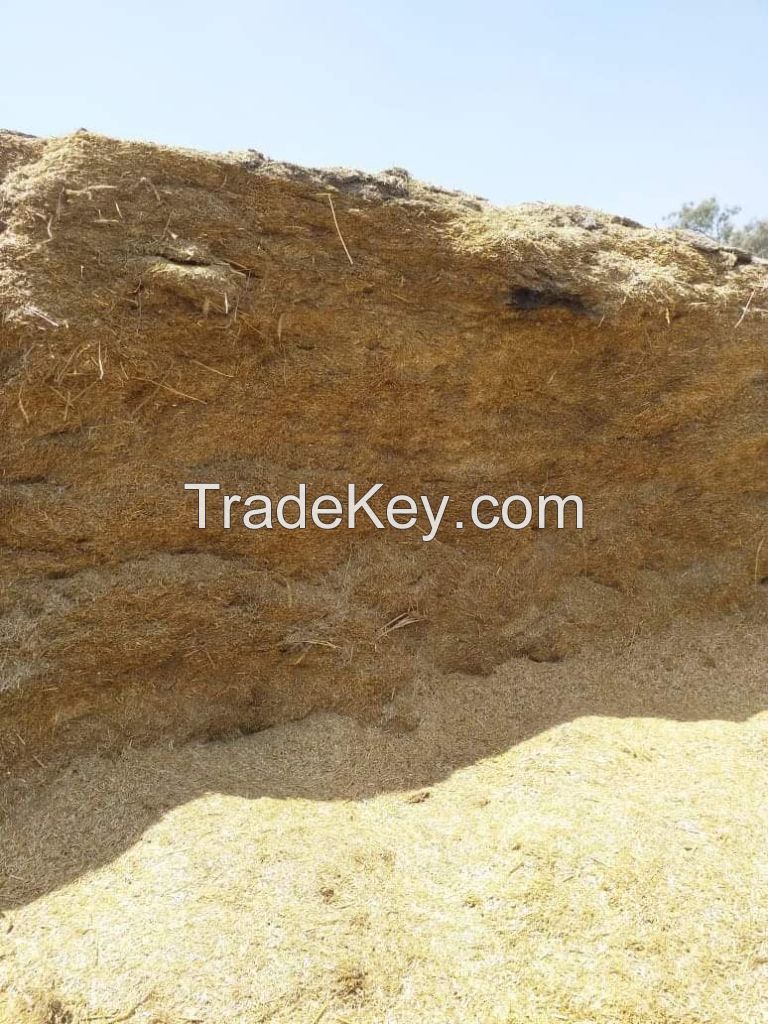 RHODES GRASS, WHEAT STRAW, CORN SILAGE, MOLASSES, COTTON SEED, YELLOW CORN,