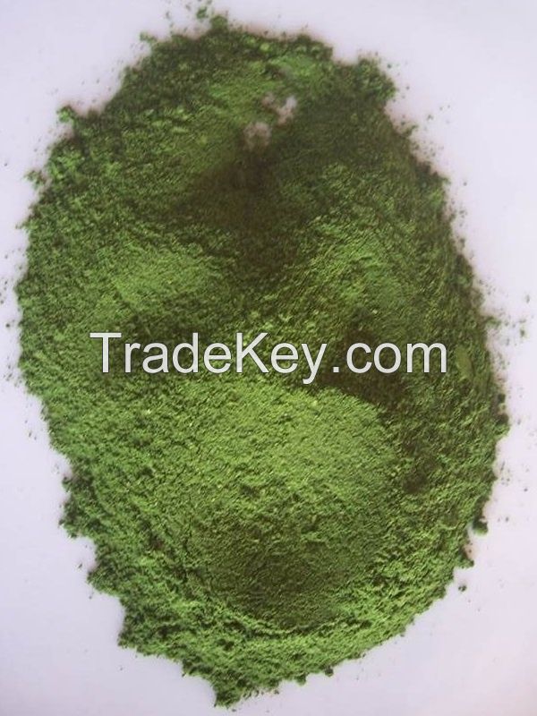 Chaya Tree Spinach Dried Leaf Powder