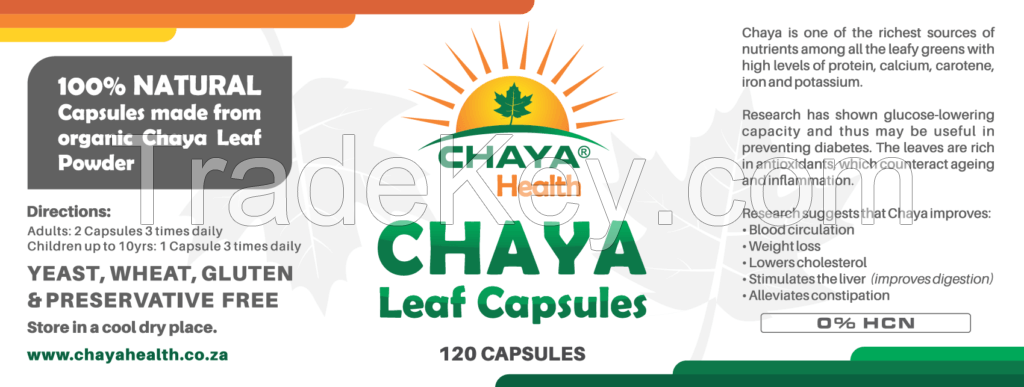 Chaya Tree Spinach Capsules - 120 Capsules