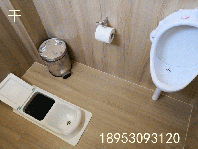 The transformation of rural toilets Squatting Pan