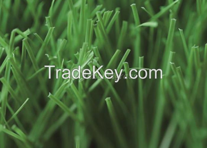 Commercial Artificial Grass, MT-Venus