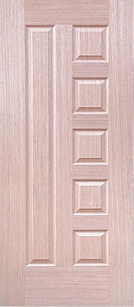 Door Skin