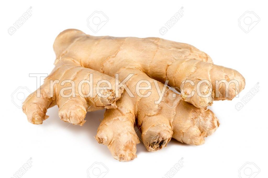 Fresh Ginger from Nigeria