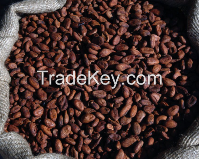 Best selling Cocoa Beans