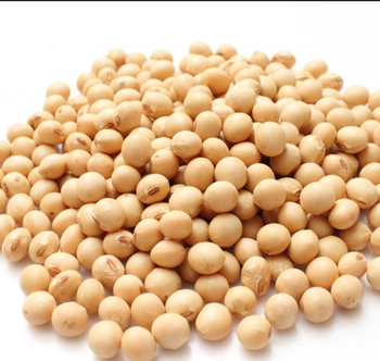 Soybean Extract