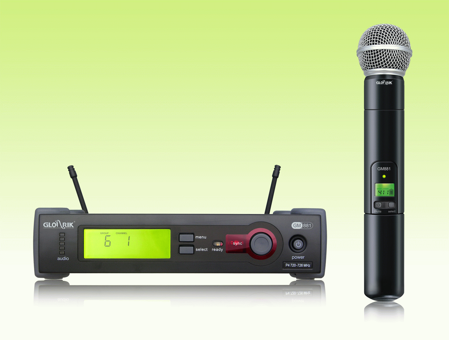 Professional wireless microphone