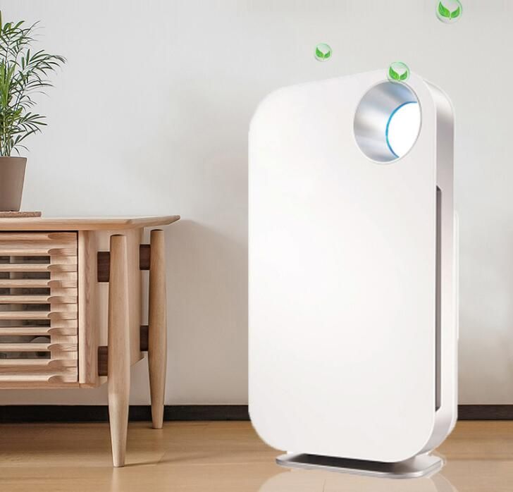 Xlan air purifier 01