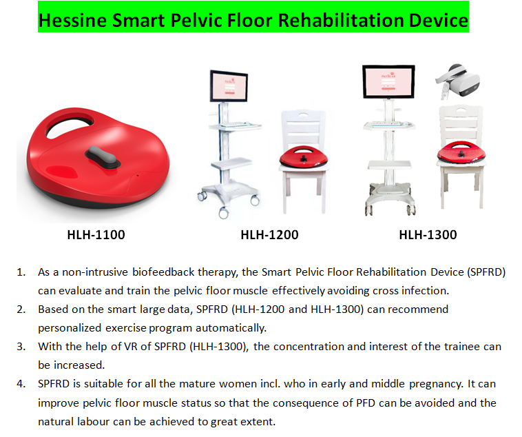 Pelvic Floor Rehabilitation System