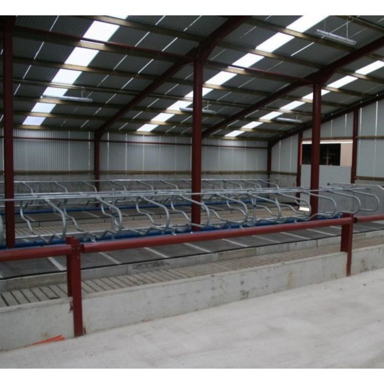 steel structure prefabricated livestock poultry farming house shed chicken house cow cattle house