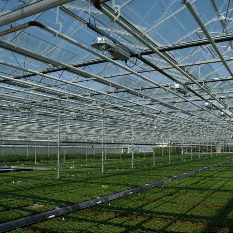 light steel structure space frame glass greenhouse for farming 
