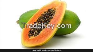 FRESH PAPAYA