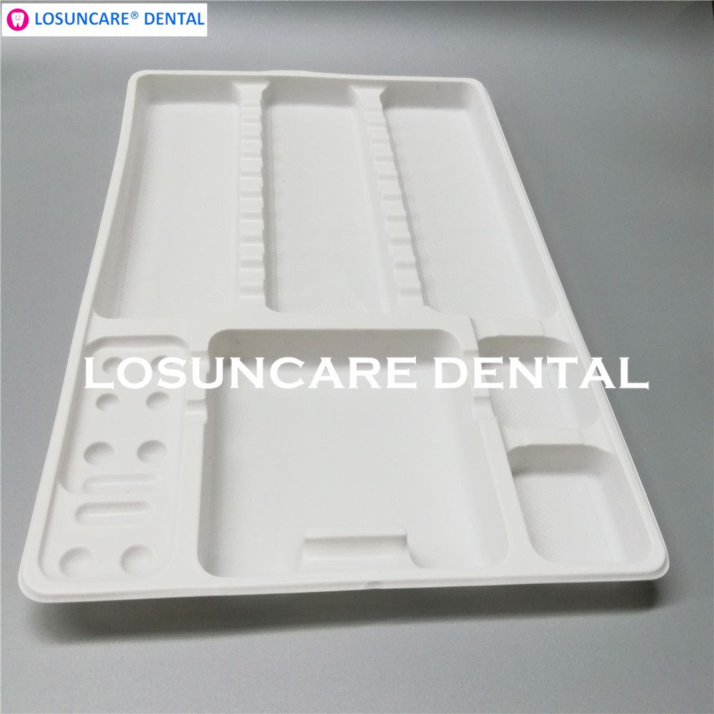 Dental Disposable Plastic Pallets Tray Segregated Placed Small and Large Dental Instruments Tray