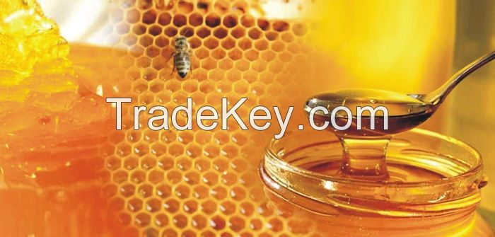 pure organic honey and honey cones