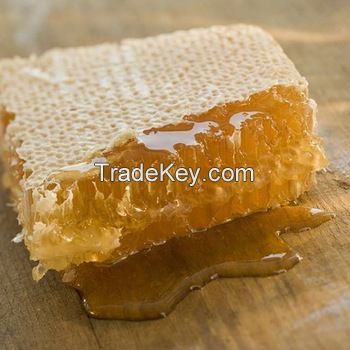 Bulk 100% pure organic honey and honey cones