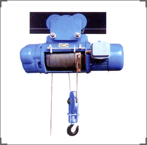 electric chain hoist