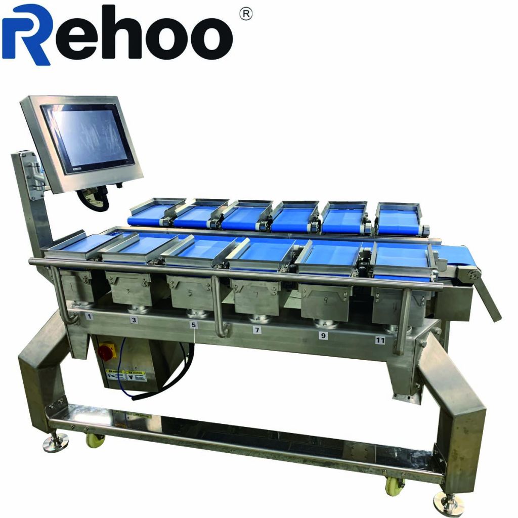 Digital And Stability Conveyor Belt Combination Weigher Scale For Frui