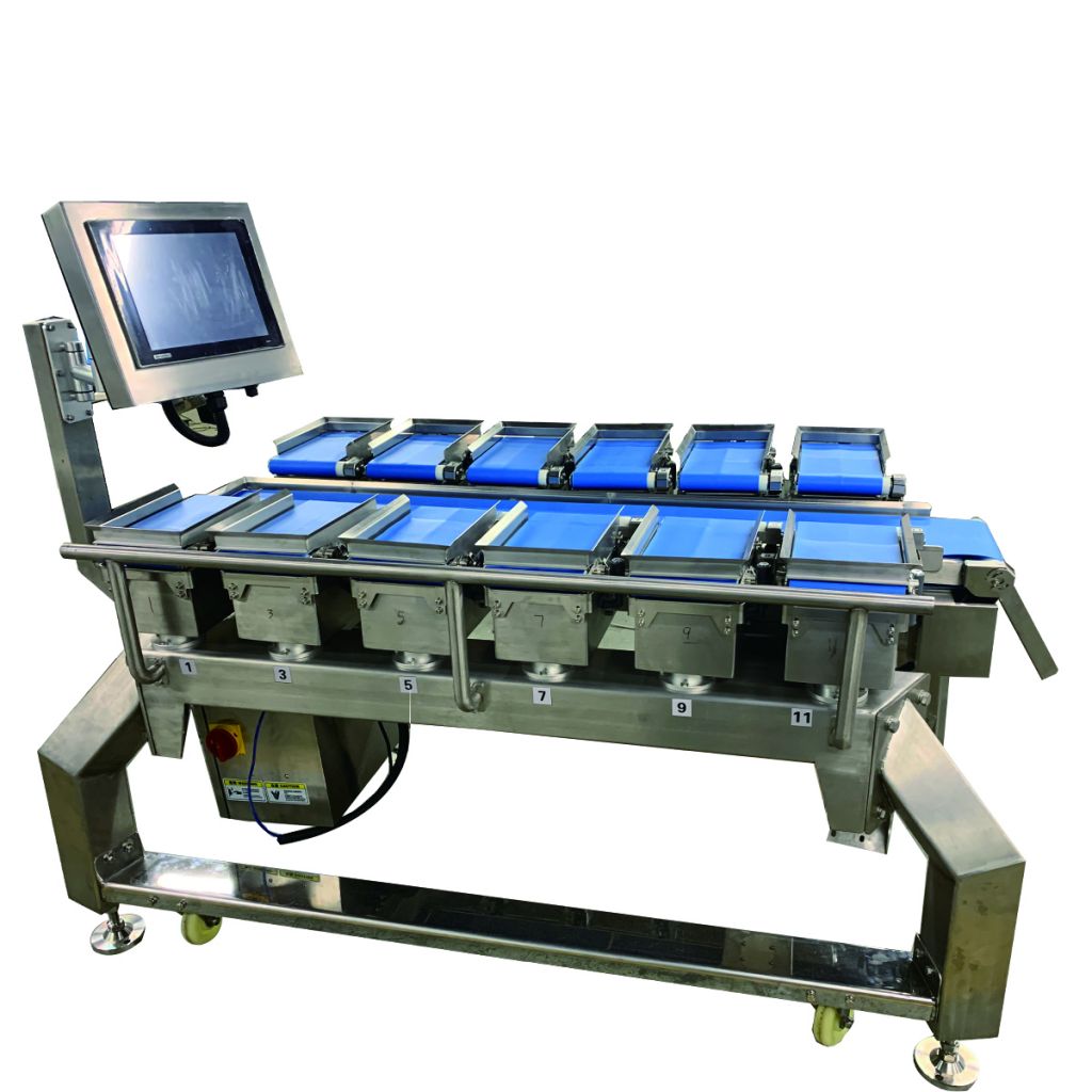 Digital And Stability Conveyor Belt Combination Weigher Scale For Frui