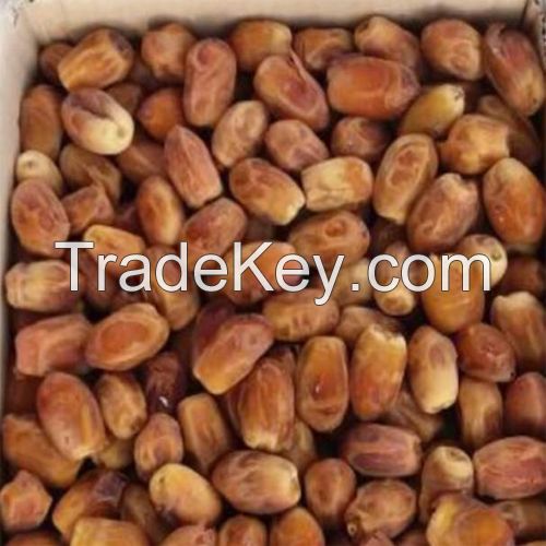 High Quality Iranian Zahidi Dates