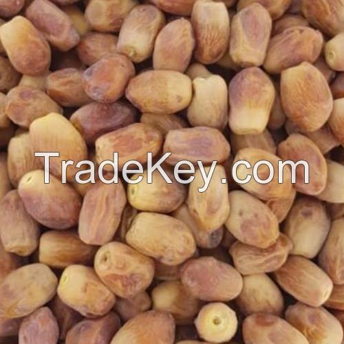 High Quality Iranian Zahidi Dates