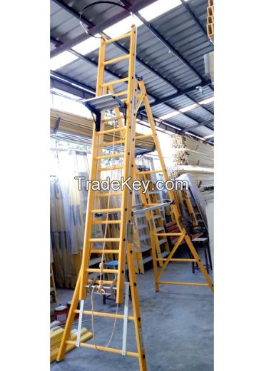 Self Supported Extension FRP Ladder 