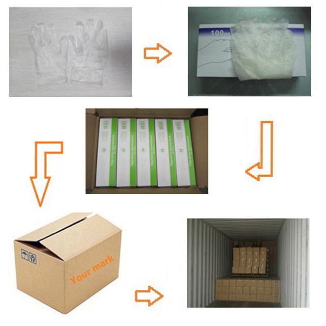 Gold Supplier China ABC SAFETY Cheap Clear Powder Free Disposable Vinyl pvc Glove