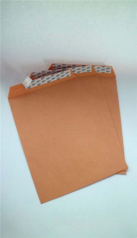 Brown Kraft Pocket Envelopes