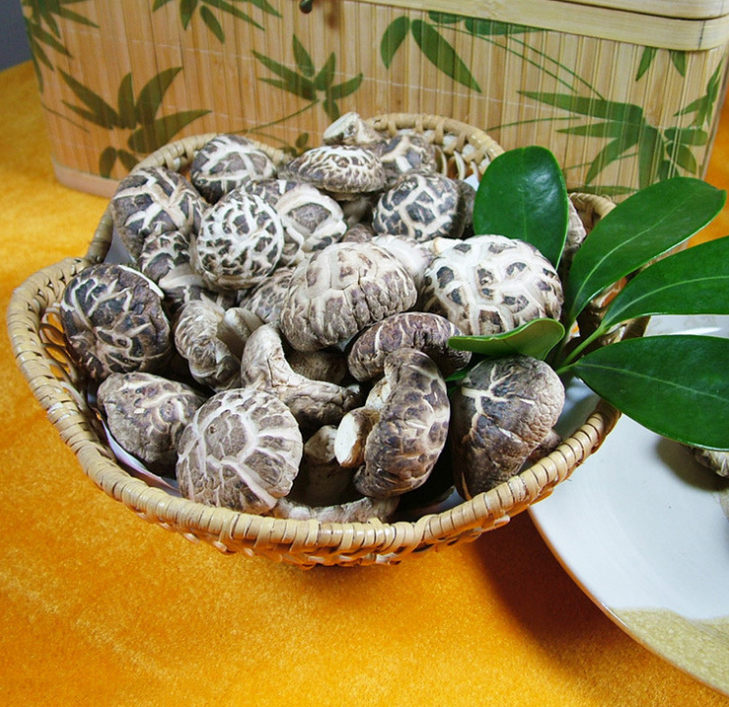 Factory Price Dried Shiitake Mushroom Plain Mushroom For Sale