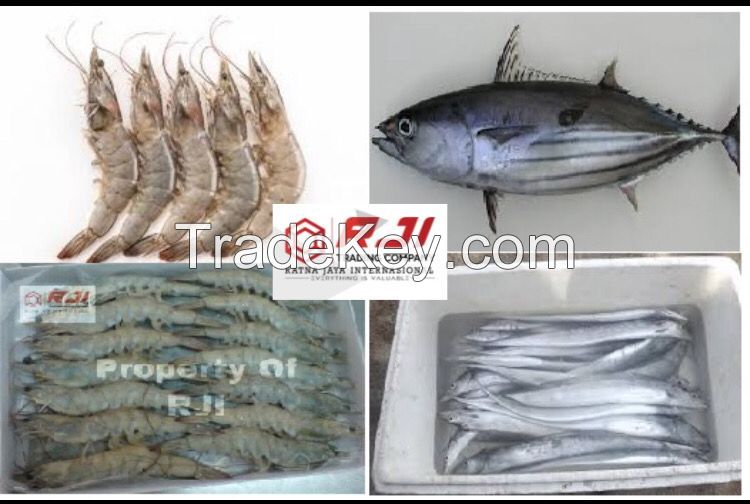 Shrimp, Fish and other product fisheries