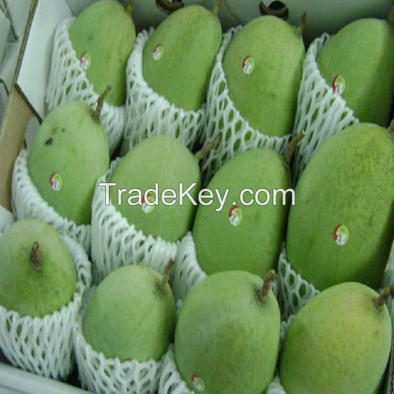 Fresh Mangoes