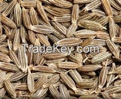 cumin seed