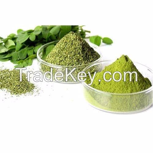 Moringa leaf powder 