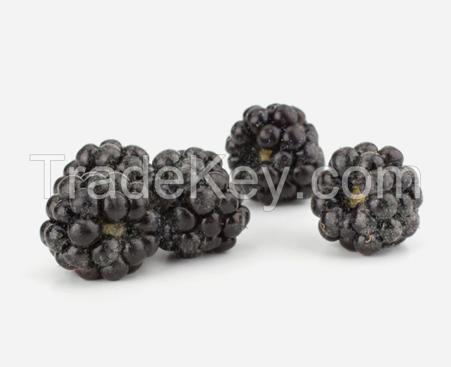 frozen  blackberry