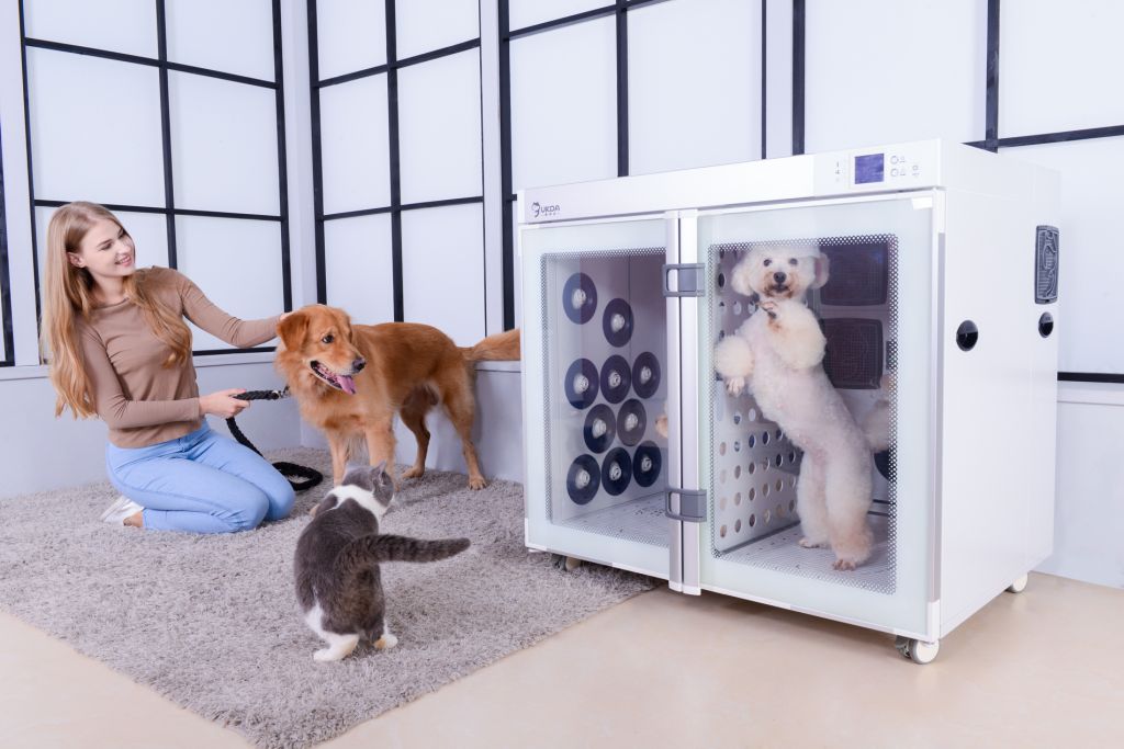 Pet Care Room