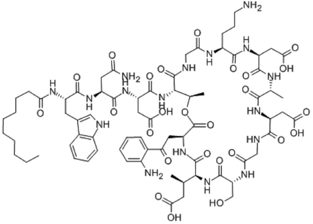 Daptomycin CAS NO.:103060-53-3 for API