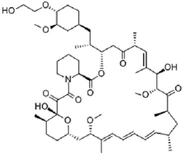 Everolimus CAS NO.: 159351-69-6 for API