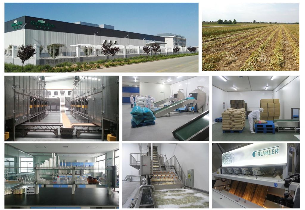China best dried onion-Nestle supplier