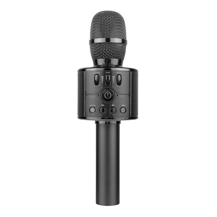 Bluetooth Karaoke Microphone Speaker TF USB Aux FM Record Function Speaker