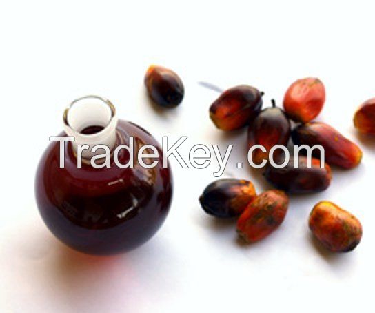 Palm Kernel Oil | Oil Palm Products