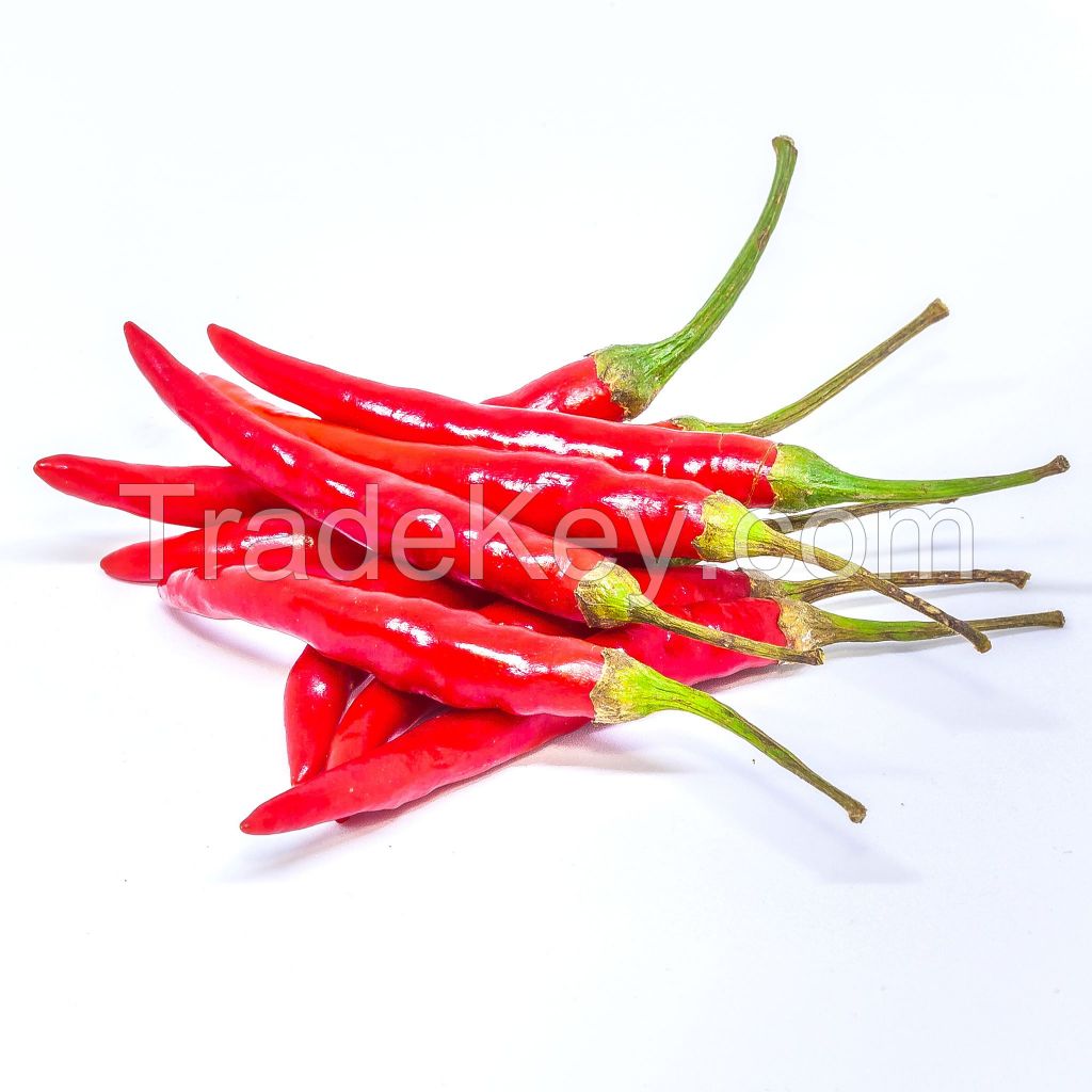 Chili pepper red