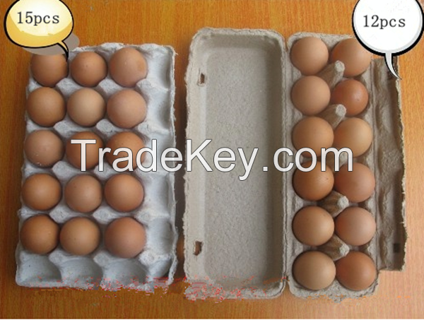 egg tray/egg carton/egg box