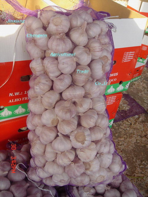 Chinese Garlic