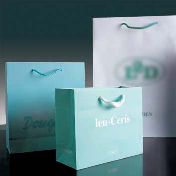 Fashion Paper shopping bags