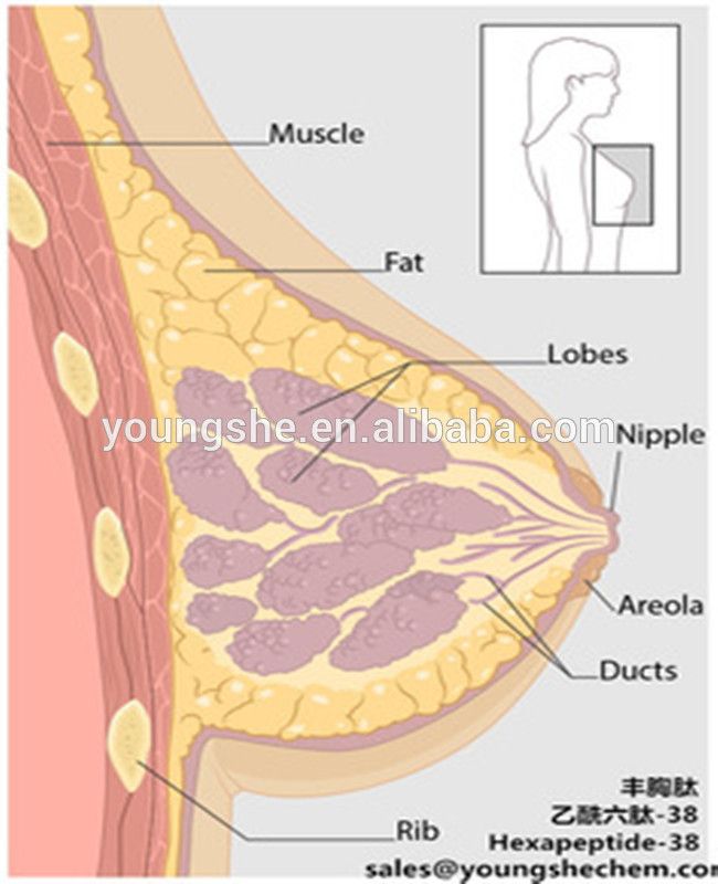 breast enlargement peptide Acetyl Hexapeptide-38